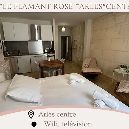 Le Flamant Rose Arles Centre Exterior foto