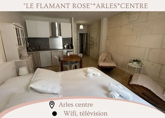 Le Flamant Rose Arles Centre
