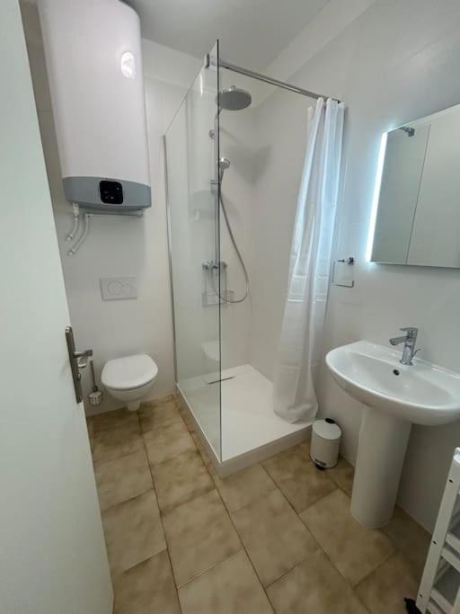 Apartment Le Flamant Rose Centre Arles